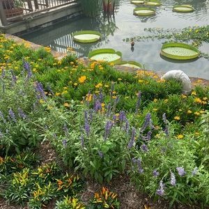 Meet your Posher, Maddy